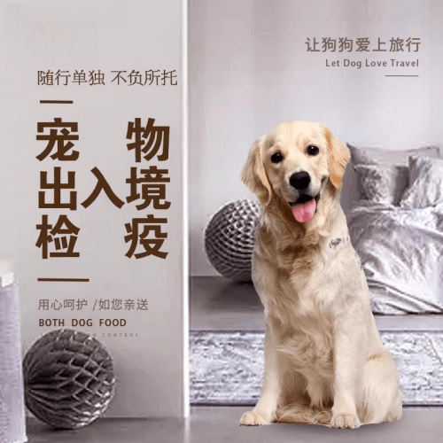 长寿区宠物托运到哥伦比亚猫狗宠物入境规定和