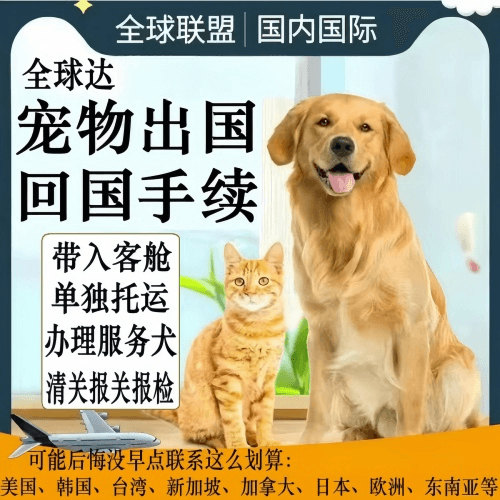 长寿区宠物托运到柬埔寨宠物入境规定和要求