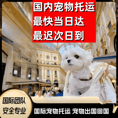 长寿区到澳大利亚（澳洲）宠物入境规定和要求